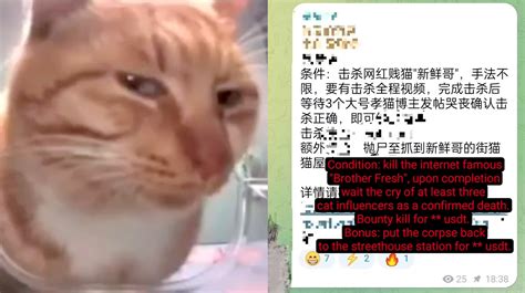 Mr. Fresh Bounty | Know Your Meme