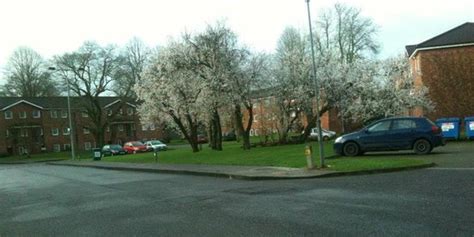 BROOKFIELD HOTEL (Cork) - Apartment Reviews & Photos - Tripadvisor