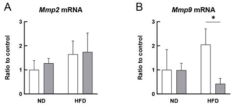 Oral Administration of Rhamnan Sulfate from Monostroma nitidum ...