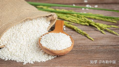 自热米饭里的“米”是什么米？我们放大一万倍给你看 - 知乎