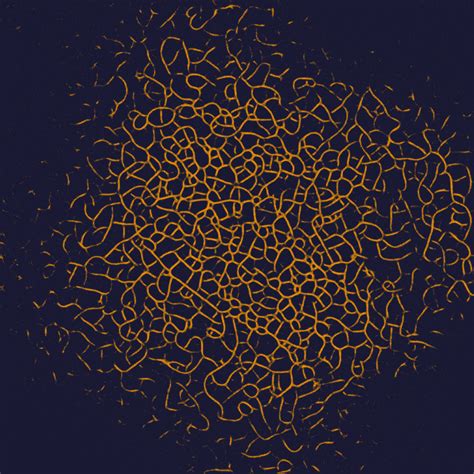 Image result for How to Get Shaders for Rust