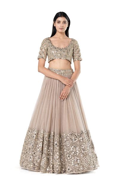 Moon Grey embellished organza lehenga set – abhinavmishra