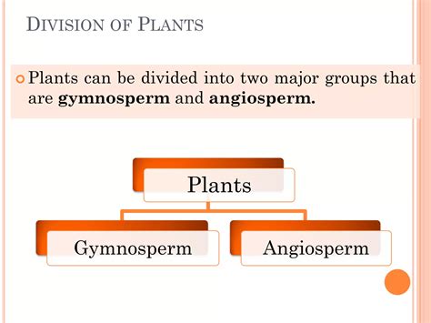 Plant Classifications Explained 的图像结果