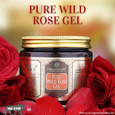 PURE WILD ROSE GEL 150 G – Organicos India Store