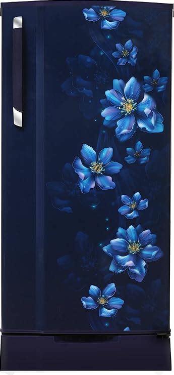 Godrej 200 L 2 Star Direct Cool Single Door Refrigerator (RD EDGE 215B ...