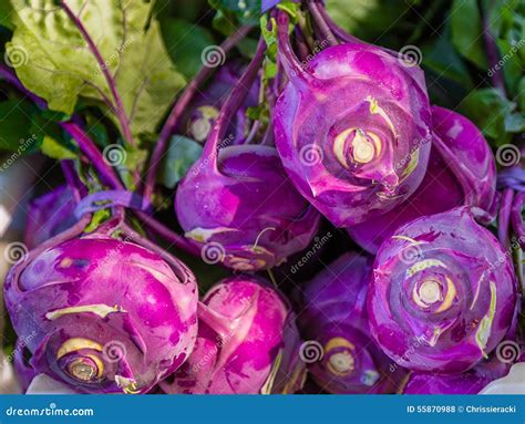 Purple Kohlrabi Cabbage Vegetables Stock Photo - Image of food, farmers ...