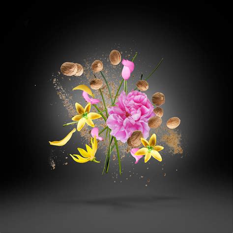 Xerjoff Fragrances – Perfume Network India