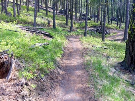 Short Ride Impossible 的图像结果