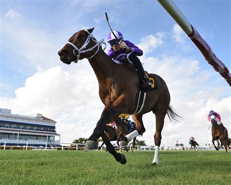 New York Thunder brings top Beyers, unbeaten record to Woodstock