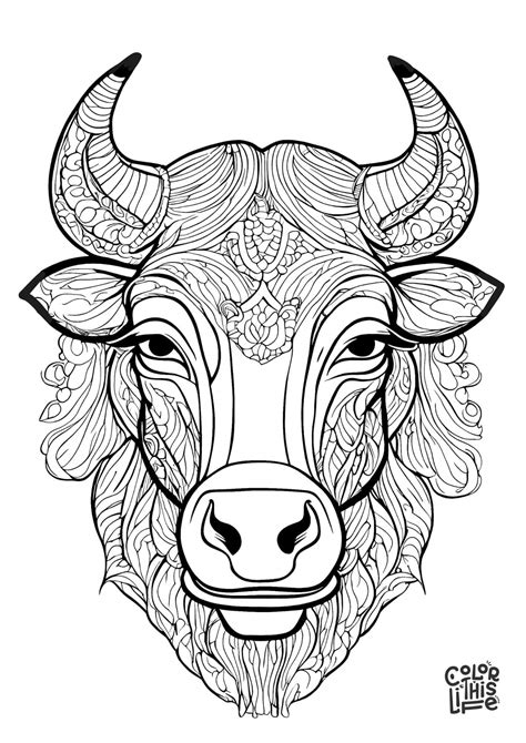 Image result for Cow Color Sheets