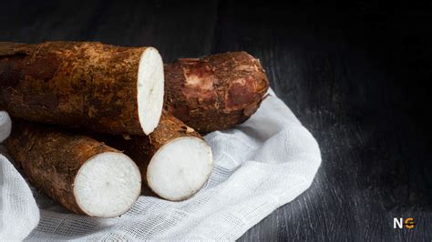 Is Tapioca Gluten Free? Everything You Should Know - Nothing Gluten