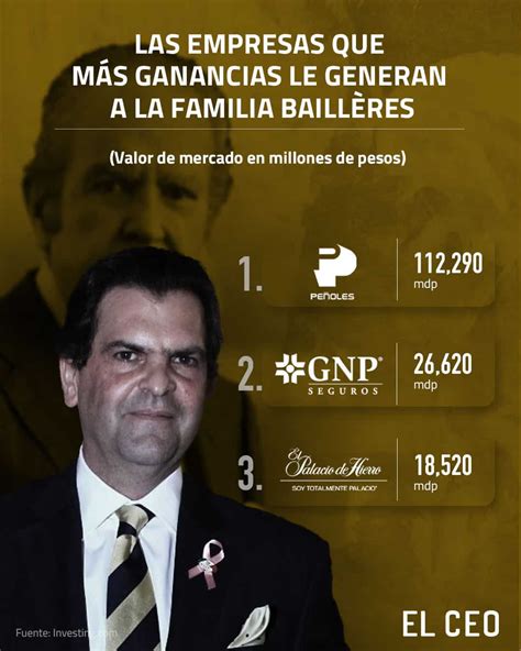 ¿Cuáles son los negocios de la familia Baillères?