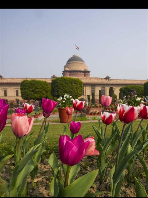 6 flower festivals in India that you can’t miss