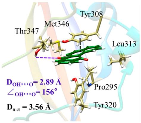 Molecular Interactions Governing the Rat Aryl Hydrocarbon Receptor ...