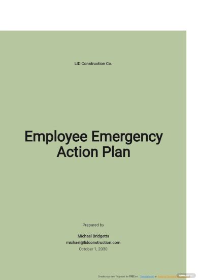 Emergency Plan Example 的图像结果