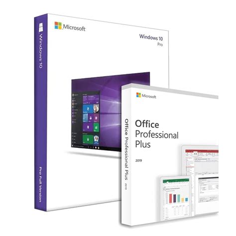 Microsoft Windows 10 Professional + Microsoft Office 2019 Professional ...