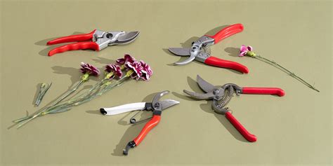 The 3 Best Garden Pruners of 2026 | Reviews by Wirecutter