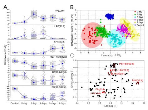 Statistics Math Class 的图像结果