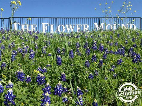 4th of july events flower mound tx