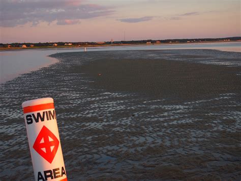 Black Swamp Cornucopia: First Encounter Beach, Cape Cod, Massachusetts