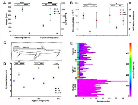 Haloadaptative Responses of Aspergillus sydowii to Extreme Water ...