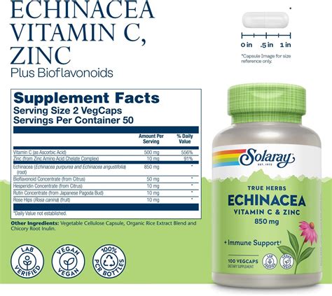 Buy SOLARAY Echinacea Vitamin C & Zinc 850 mg Plus Bioflavonoids ...