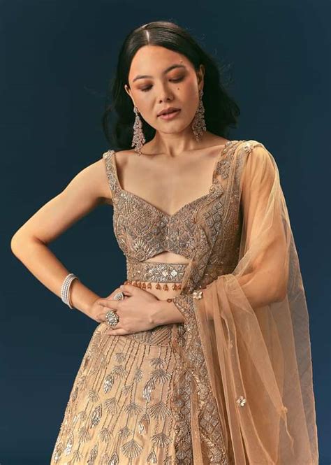 Bronze Organza Lehenga Set With Hand Work