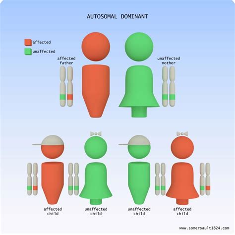 Image result for Visualizing Inheritance HTML/JS