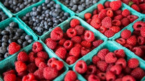 Custom Duty Rate for Meat, Cranberries, Blueberries Revised [Read ...