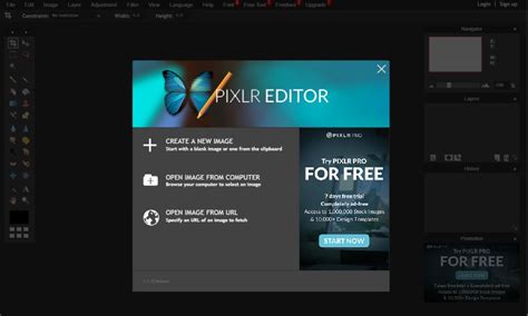 Image result for Pixlr Editor Basic
