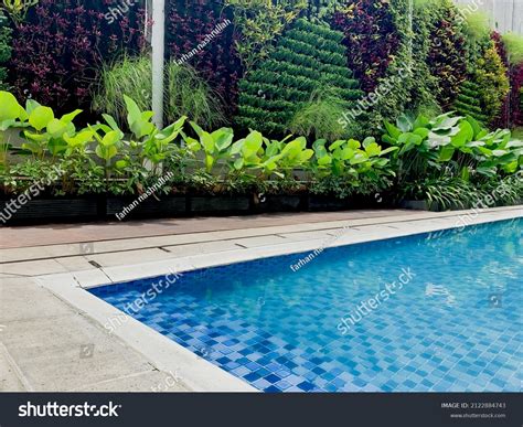 Swimming Pool Water 的图像结果