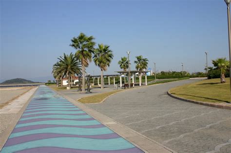 白谷海浜公園 | 観光スポット・遊ぶ | 渥美半島だより【渥美半島観光ビューロー公式サイト】