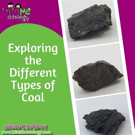 Exploring the 4 Types of Coal: Understanding the Differences