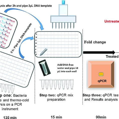 qPCR Method 的图像结果