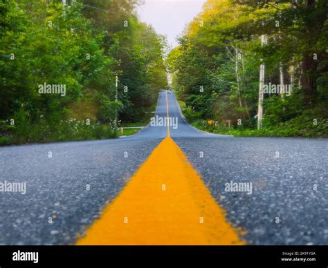 The yellow median strip separating the road surrounded by a dense green ...