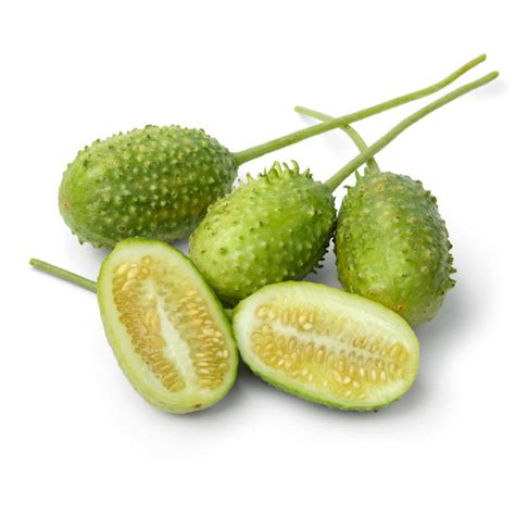 Spiny Gourd (Kantola) – Fruitique