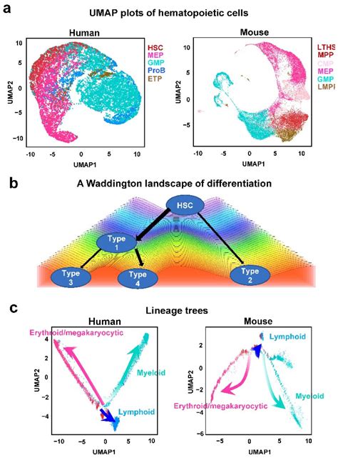 Time-Varying Gene Expression Network Analysis Reveals Conserved ...