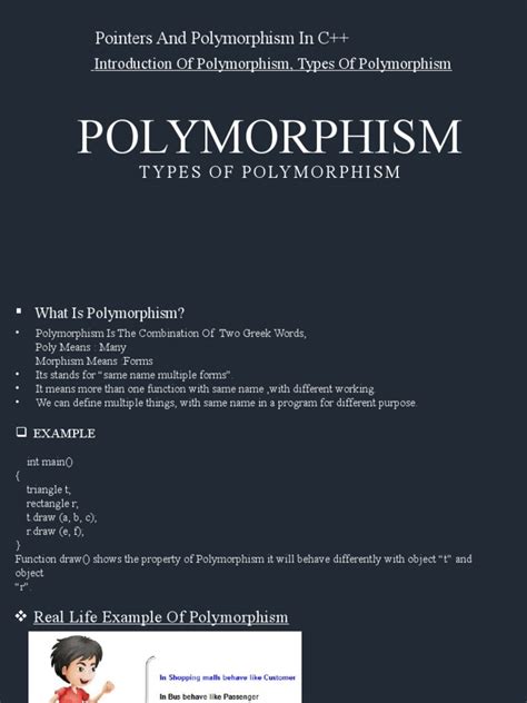 Image result for Polymorphism Programming