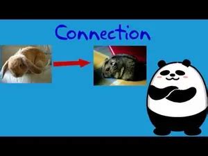 Image result for How to Make an Connection Between 2 Things