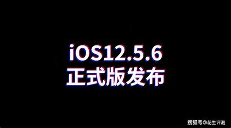 iOS 12.9 的图像结果