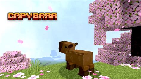 Image result for Comment Installer Un One Block