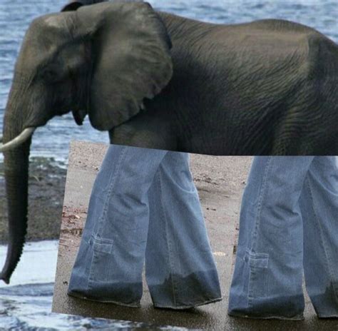 elepants | Cool art, Art inspiration, Picture