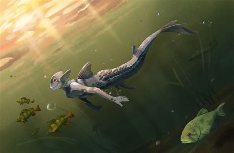 Swamp Fish 的图像结果