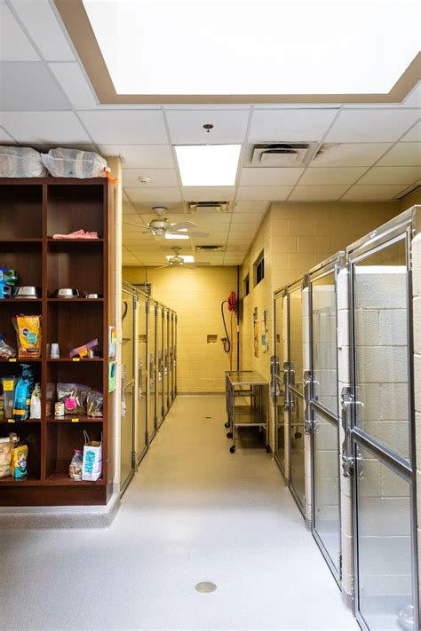 Boarding Tour | Powers Ferry Animal Hospital