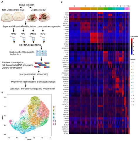 Single-Cell RNA-Seq Analysis of Cells from Degenerating and Non ...