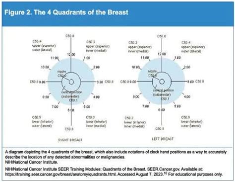 Image result for Difference Between Component Testing and Unit Testing