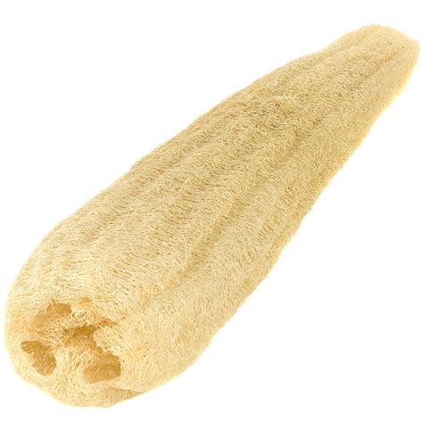 Egyptian Loofah