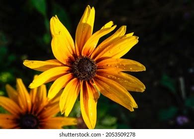 Image result for Basic Machine Learning Application Design Sample