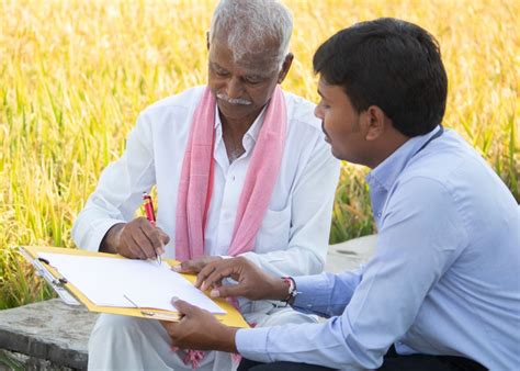 ग्रामीण बैंक भर्ती 2025: 13,301 पदों पर आवेदन की लास्ट डेट – अभी करें ...