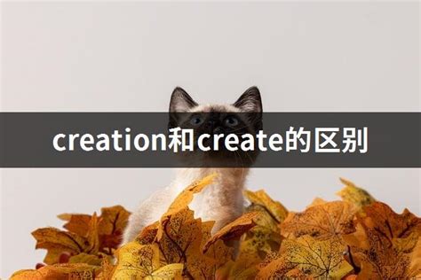 creation和create的区别 - 常好网